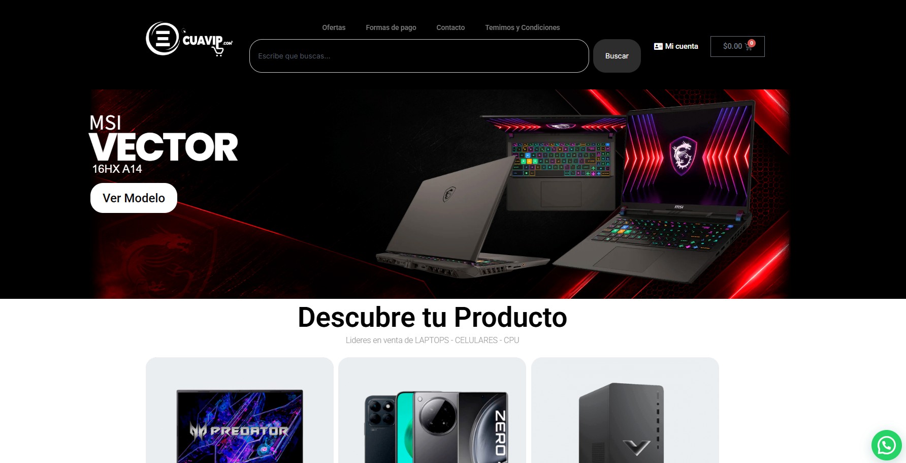 Client website screenshot